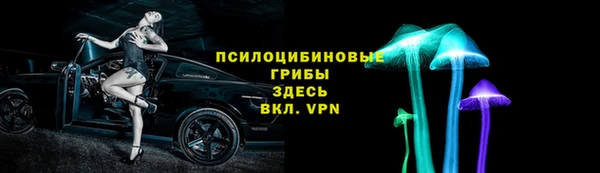 винт Алзамай