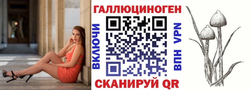 закладка  Искитим  Галлюциногенные грибы GOLDEN TEACHER 