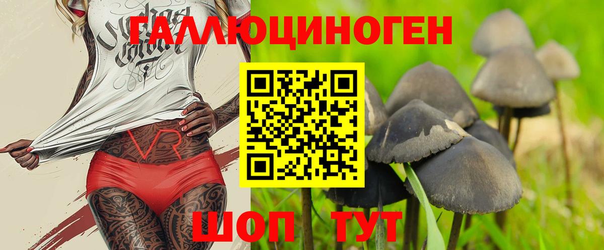 Галлюциногенные грибы Psilocybe  Вход с VPN  Искитим 